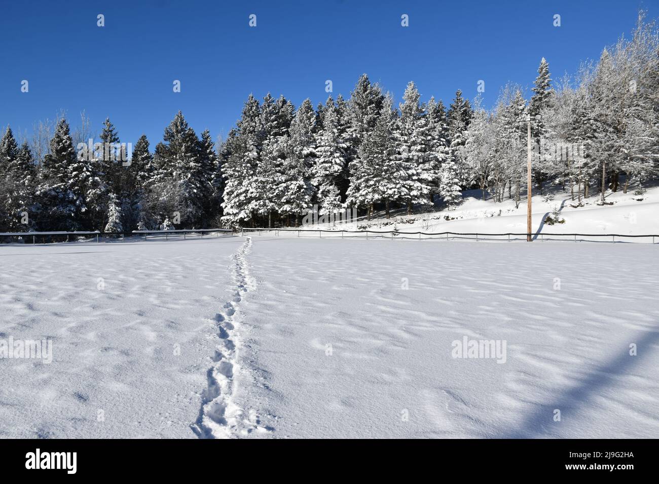 The recreation ground in winter, SainteApolline, Québec, Canada Stock