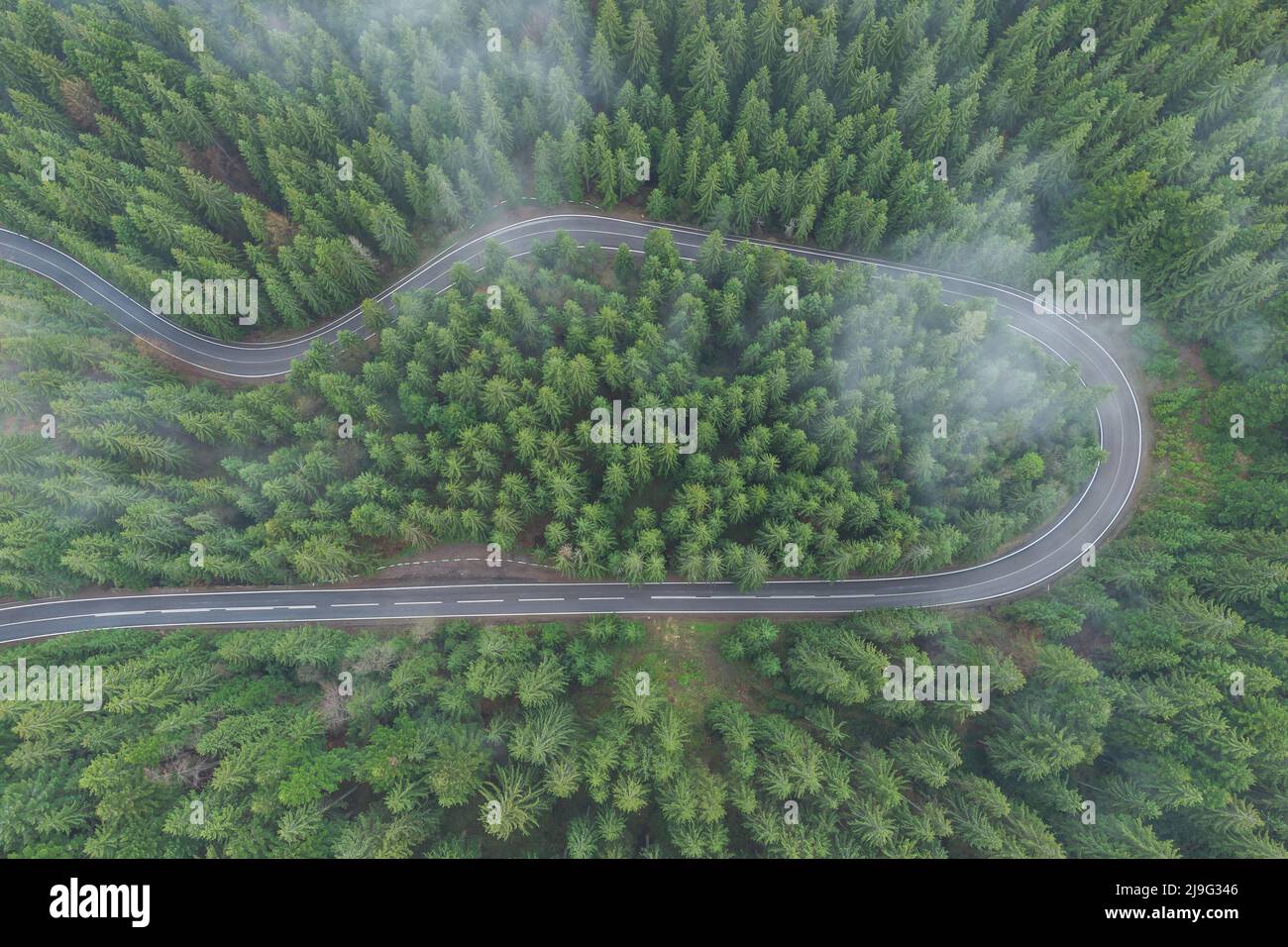 Aerial view of the mountain road in the beautiful forest in springtime. Top view of the winding road cutting through the green woods Stock Photo