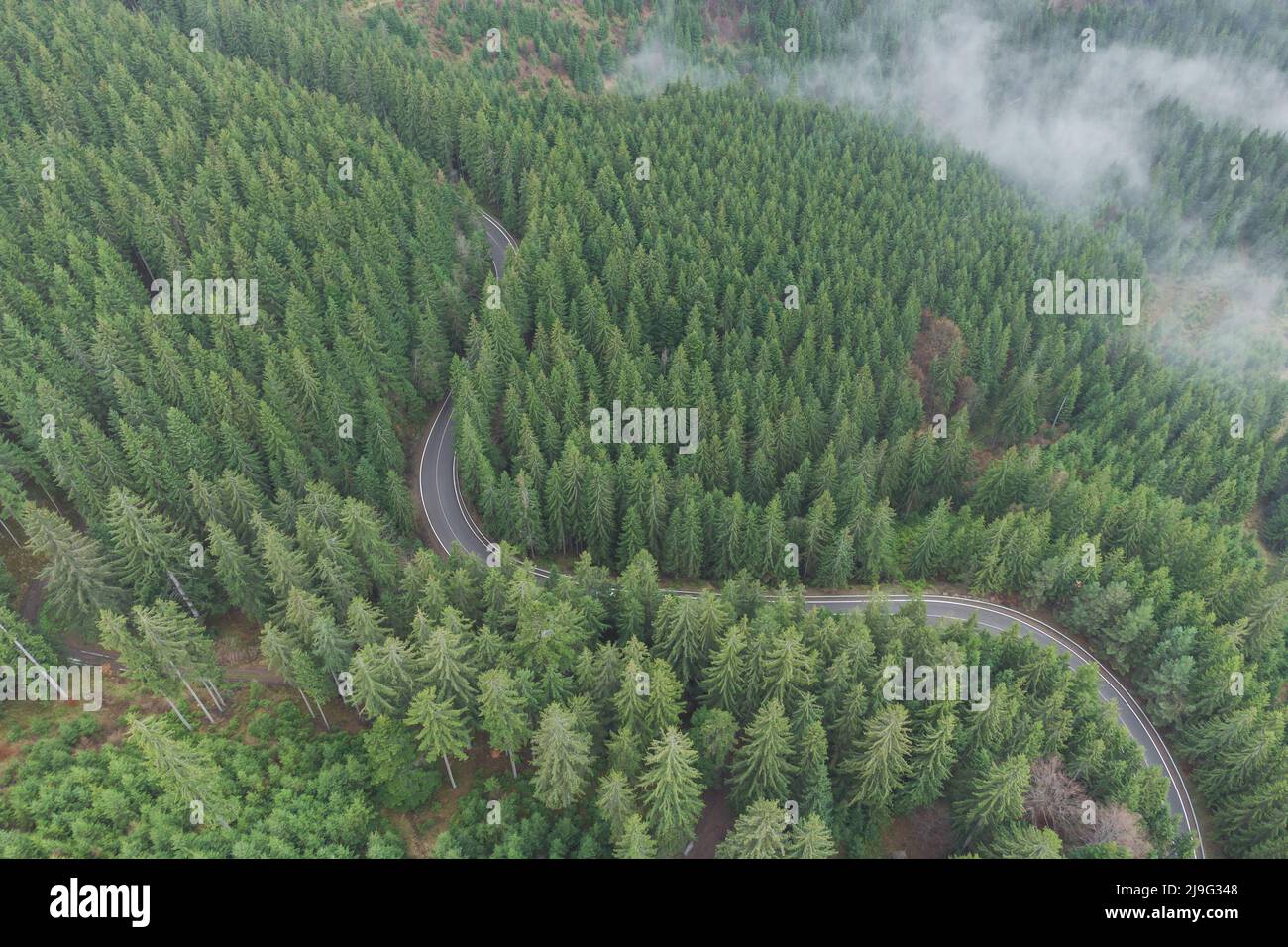 Aerial view of the mountain road in the beautiful forest in springtime. Top view of the winding road cutting through the green woods Stock Photo