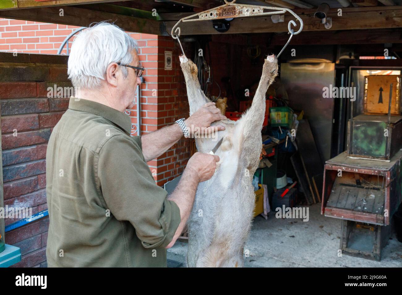 Evisceration hi-res stock photography and images - Page 2 - Alamy Evisceration hi-res stock photography and images - Page 2 - Alamy