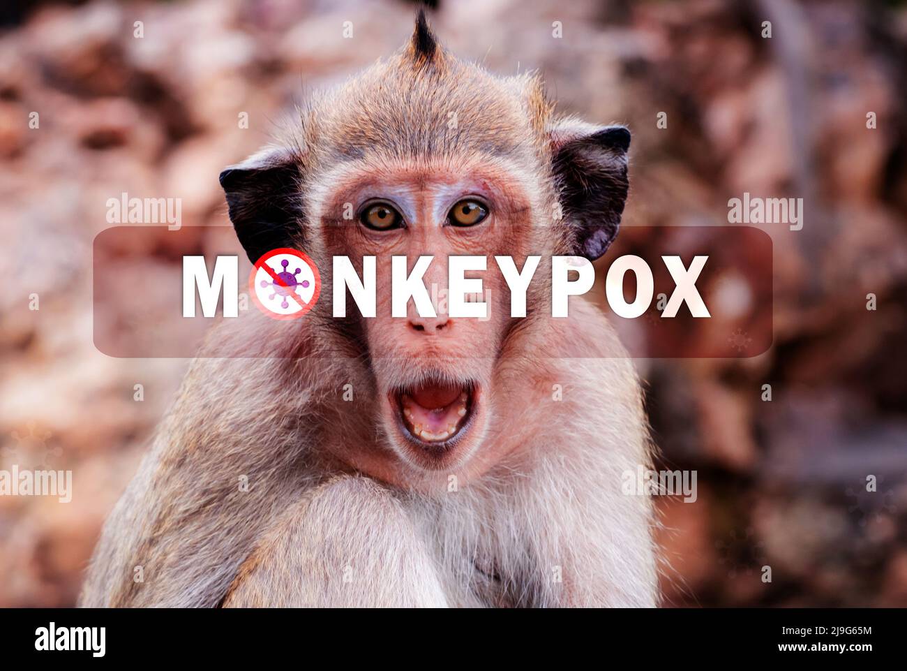 monkeypox-outbreak-concept-monkeypox-is-caused-by-monkeypox-virus-monkeypox-is-a-viral-zoonotic-disease-virus-transmitted-to-humans-from-animals-2J9G65M.jpg