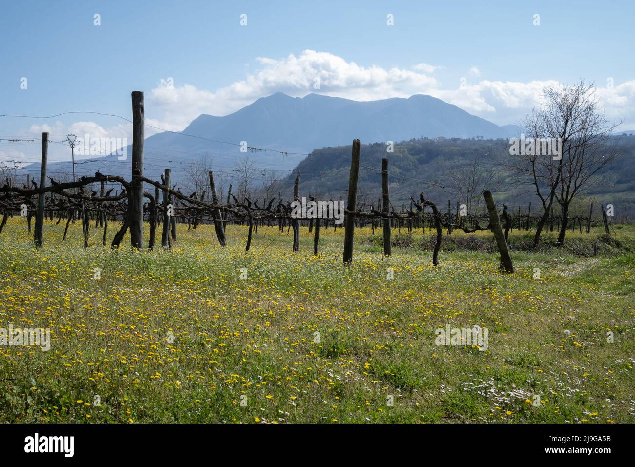 View to the valley from small village in the south of Italy Stock Photo
