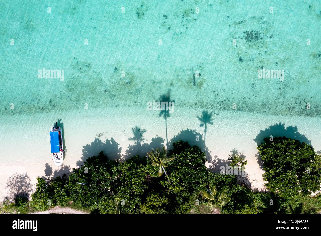 Drone beach palm trees hi-res stock photography and images - Alamy