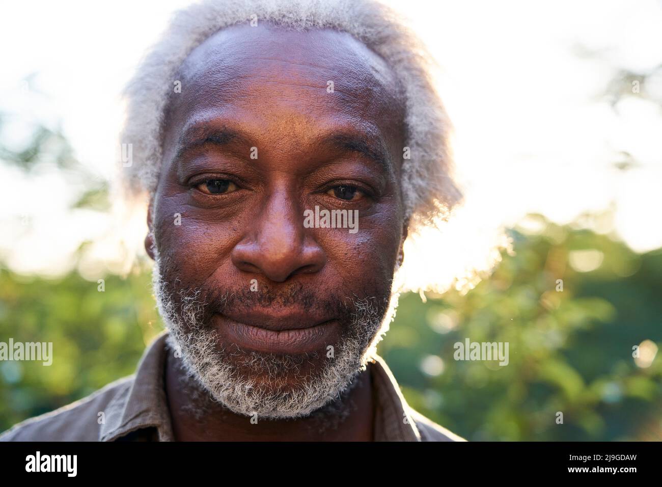 Close-up of a smiling man standing in garden Stock Photo