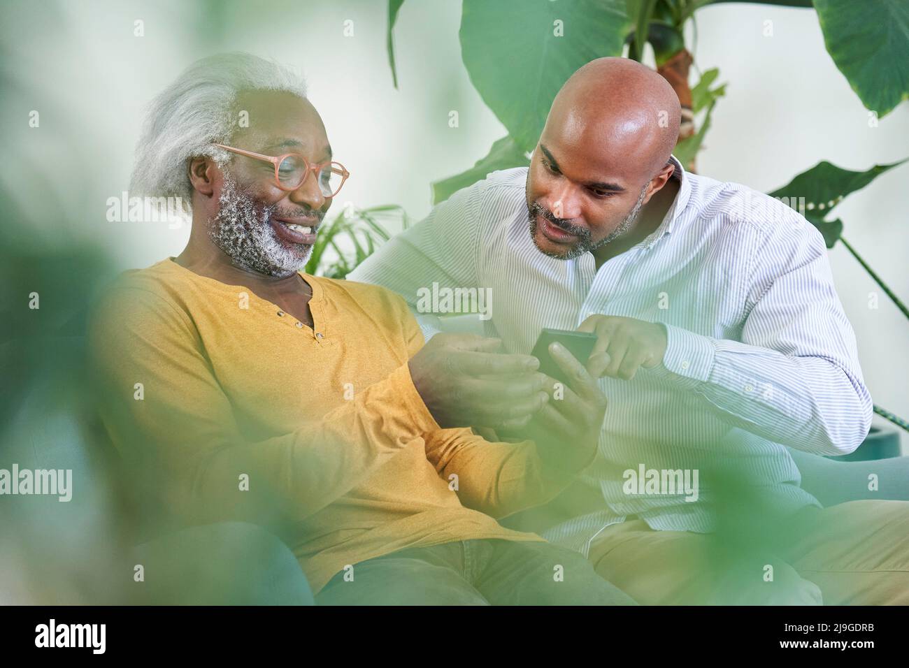 Father and son using smart phone Stock Photo