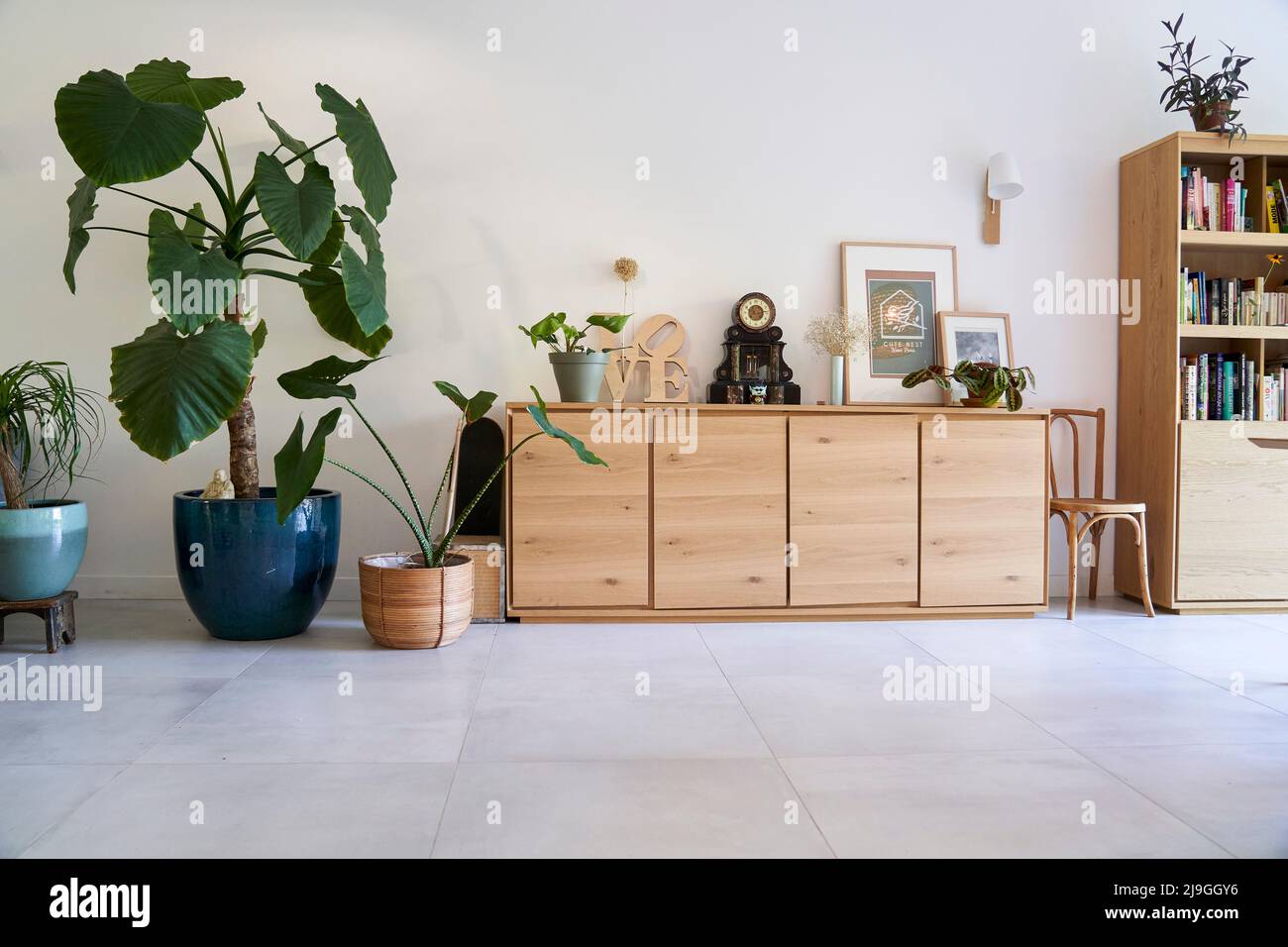 Bookshelf, picture frames and potted plants in living room Stock Photo