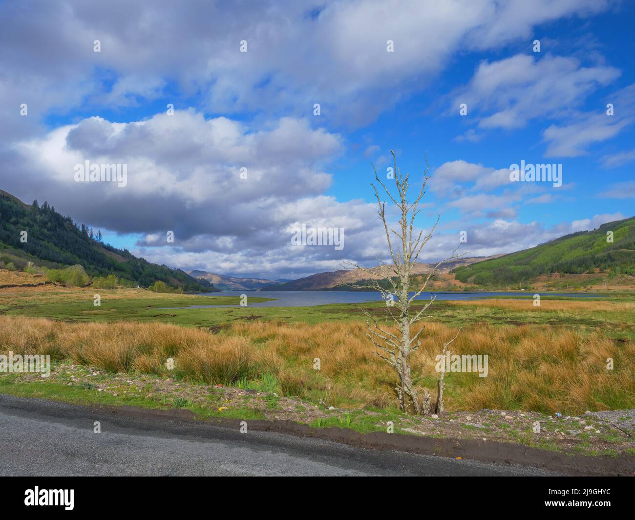 Loch Sunart, Ardnamurchan Highlands of Scotland. Stock Photo