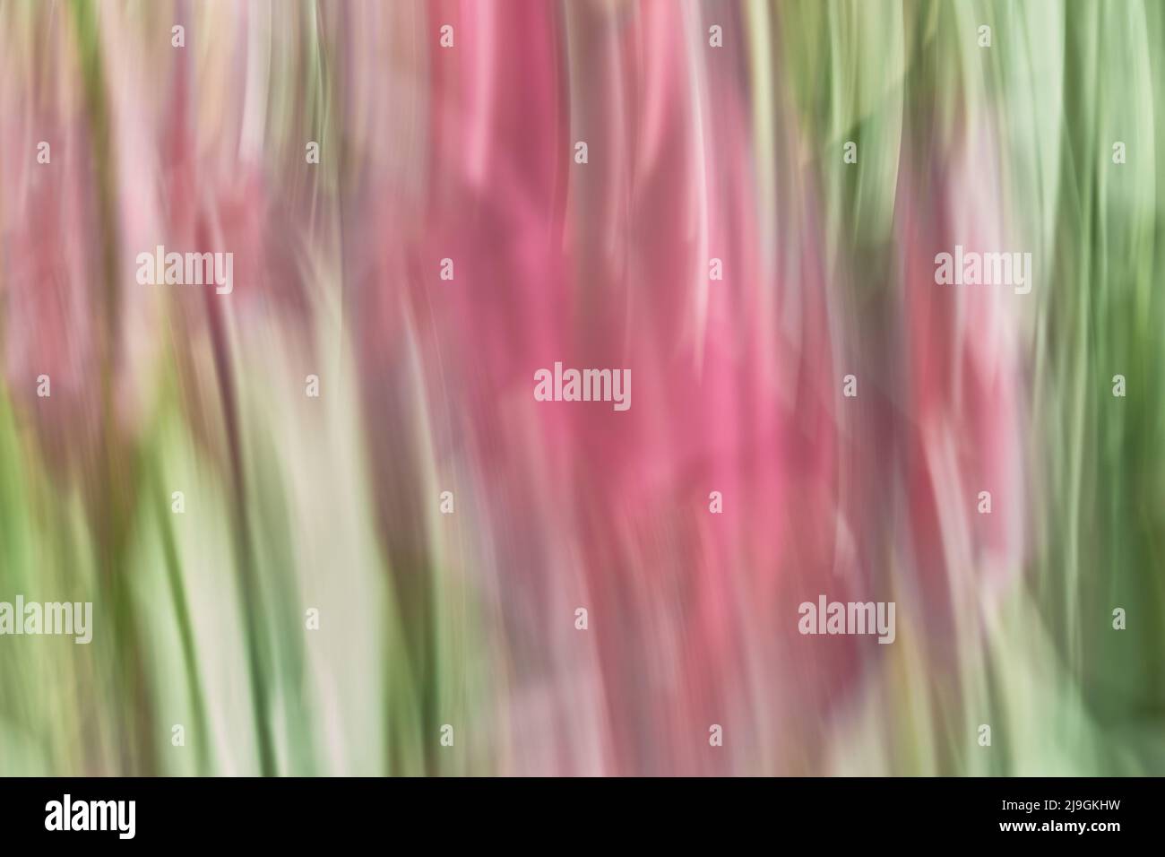 blurred soft Springtime garden colors Stock Photo