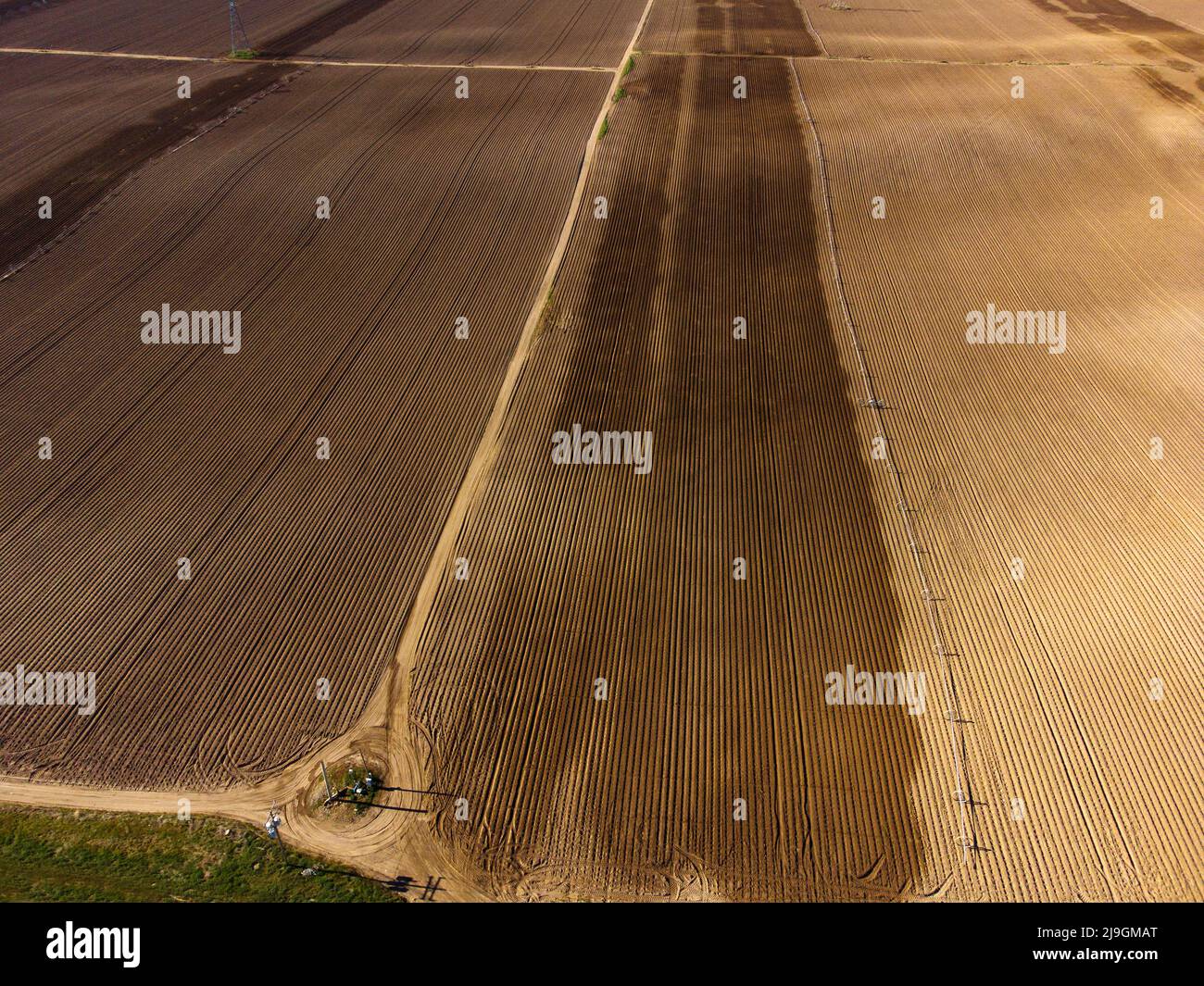 Furrowed farm field plowed with sprinklers spraying water irrigation for farming Stock Photo