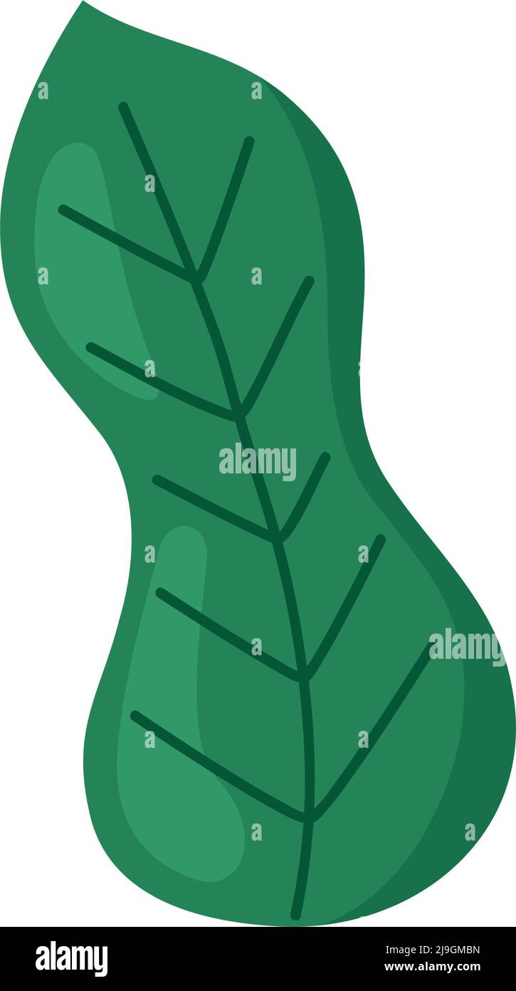 ecology leaf plant nature icon Stock Vector Image & Art - Alamy