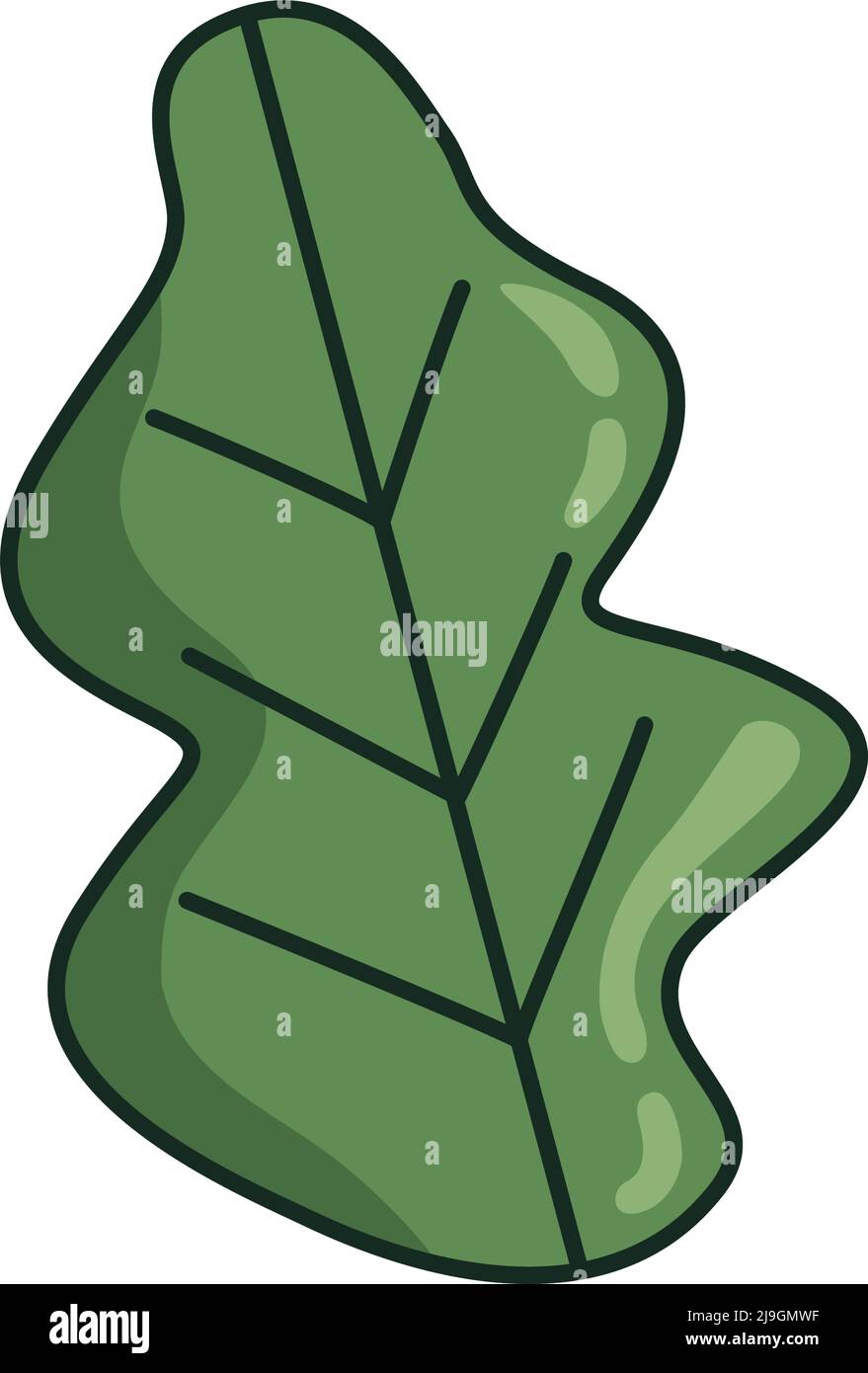 green leaf plant nature icon Stock Vector Image & Art - Alamy