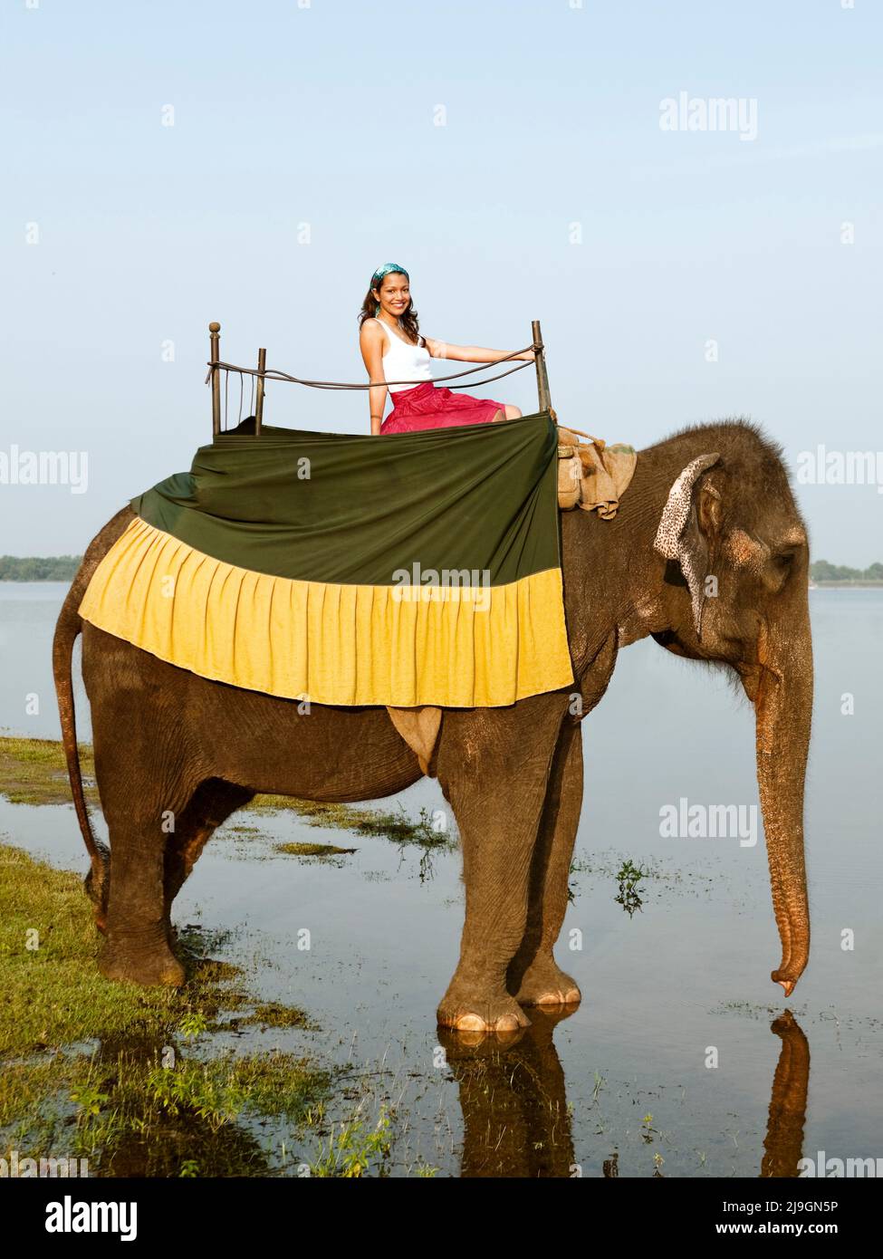 Woman Riding Elephant, Heritance Kandalama, Dambulla, Sri Lanka. A woman rides Ran Manika, Heritance Kandalama Hotel’s resident elephant. Stock Photo