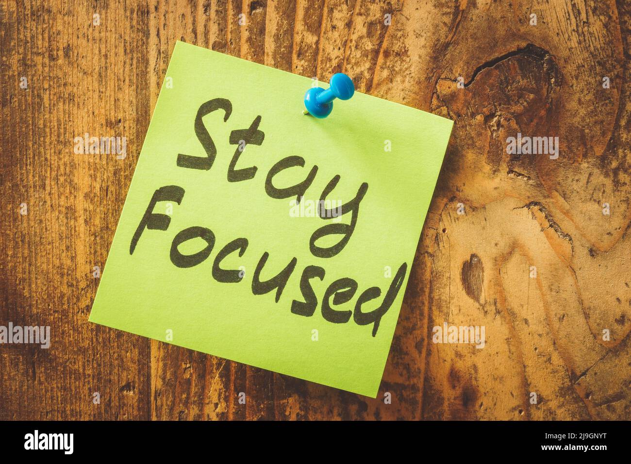 Stay focused lettering on sticker attached to board. Stock Photo