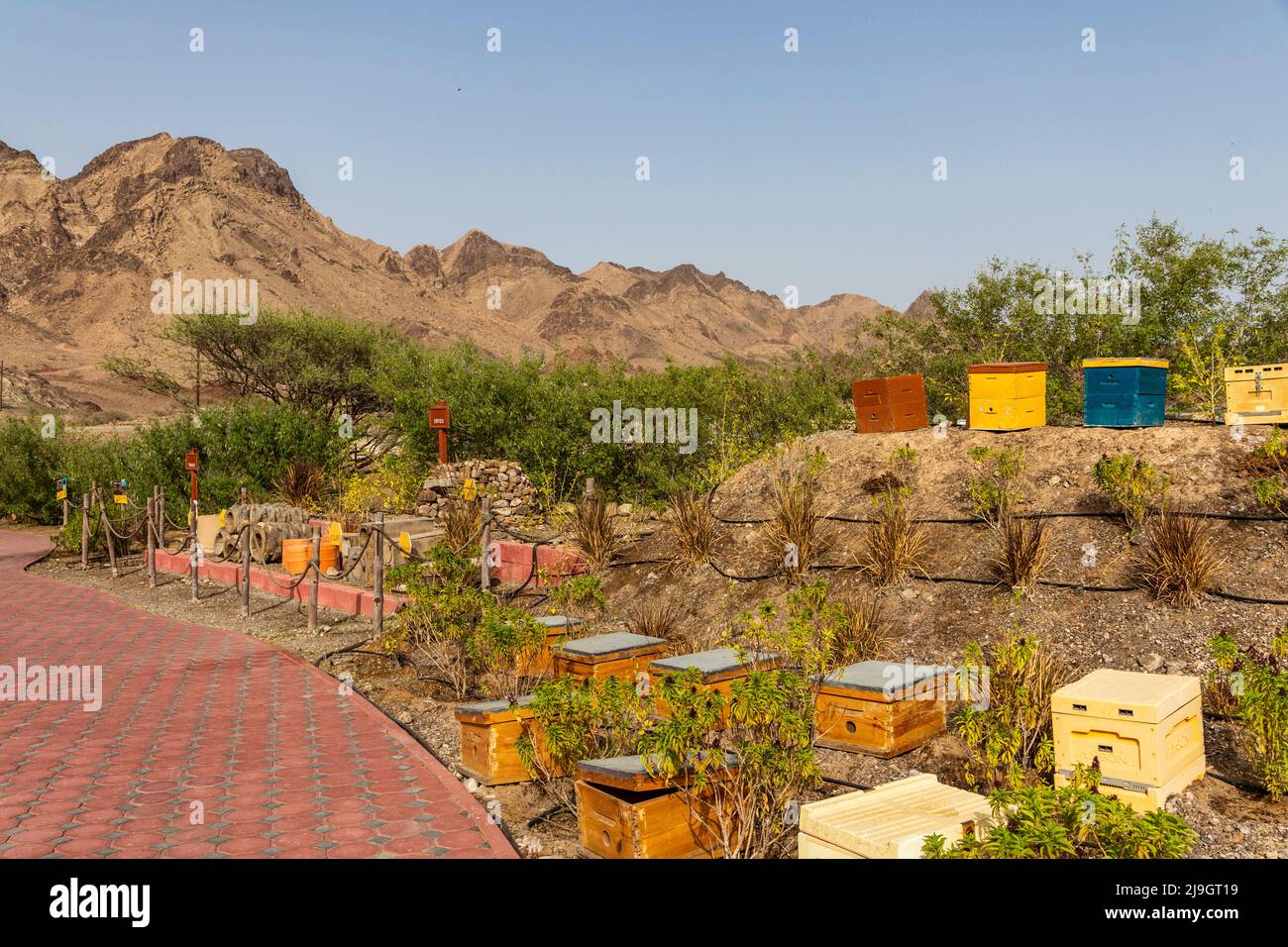Different types of bee hives in display Stock Photo Alamy