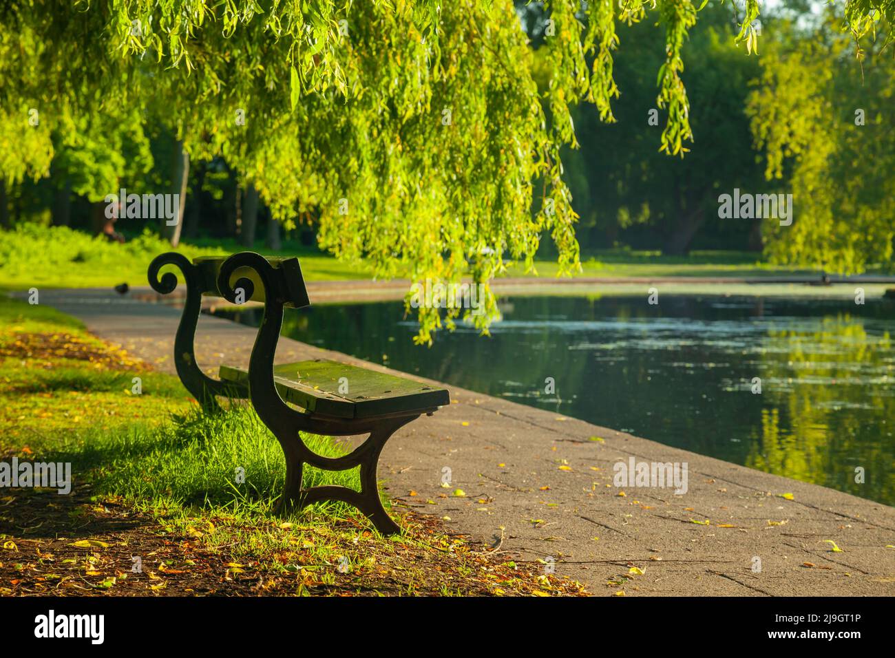 Spring morning in Rowntree Park, York, England. Stock Photo