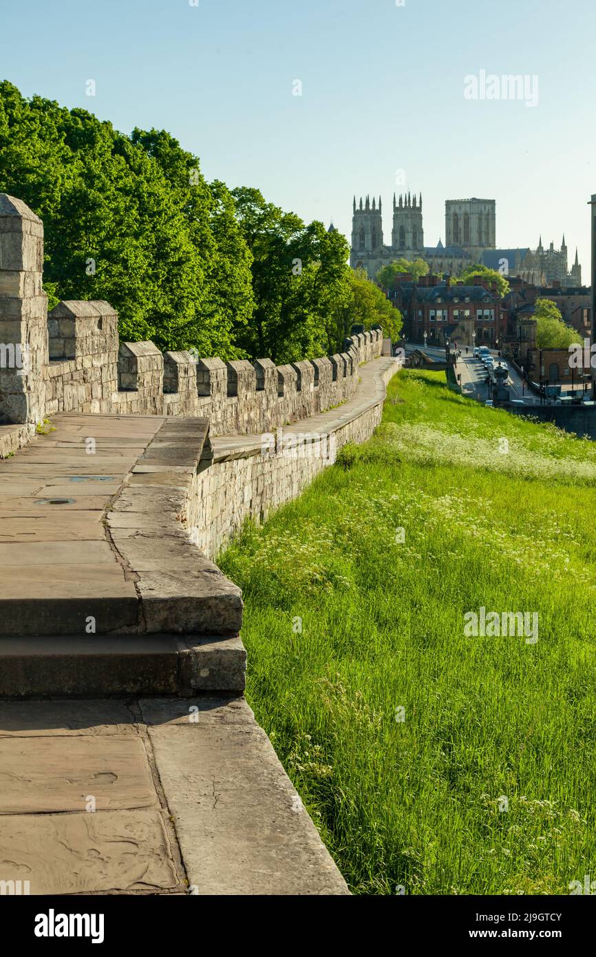 Spring morning on the city walls in York, England. York Minster in the distance. Stock Photo