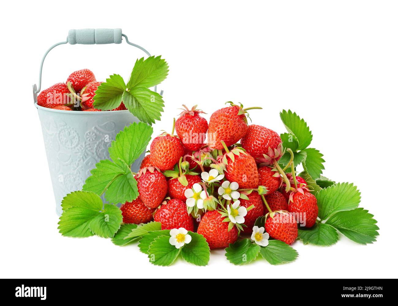 Strawberries in small bucket isolated on white background Stock Photo ...
