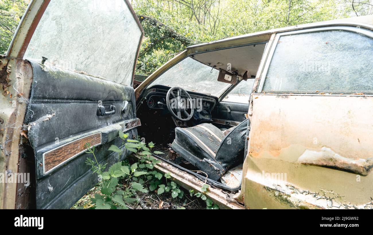 Old abandoned Ford cars dumped in the forest somewhere in Belgium Stock Photo Alamy