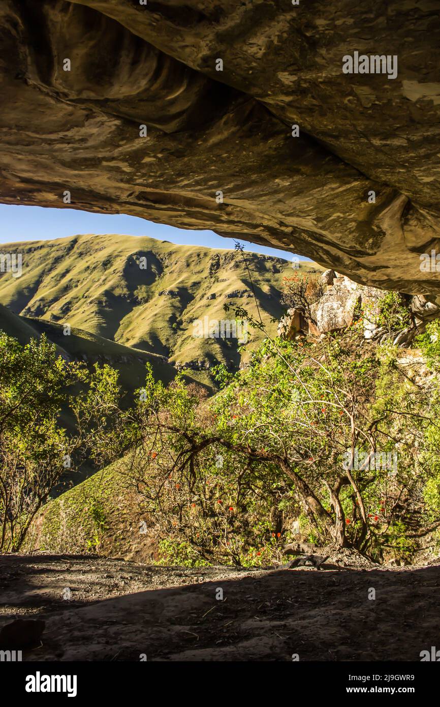 Looking out at the grass covered slopes of the Drakensberg Mountains