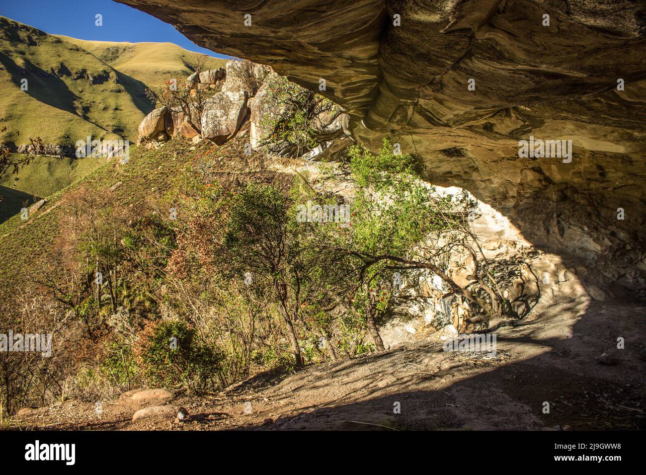 Looking out at the grass covered slopes of the Drakensberg Mountains