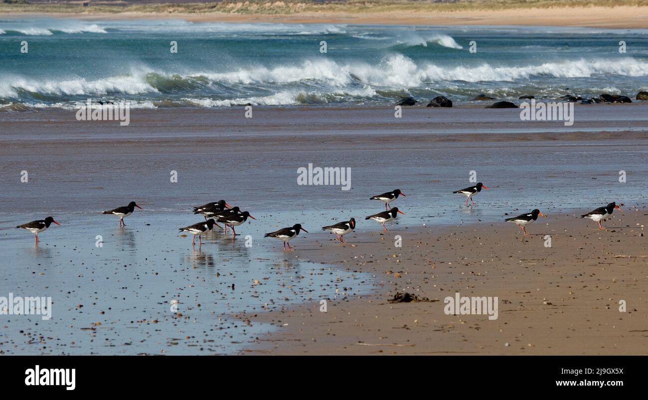 Kintra beach, Islay, Scotland Stock Photo
