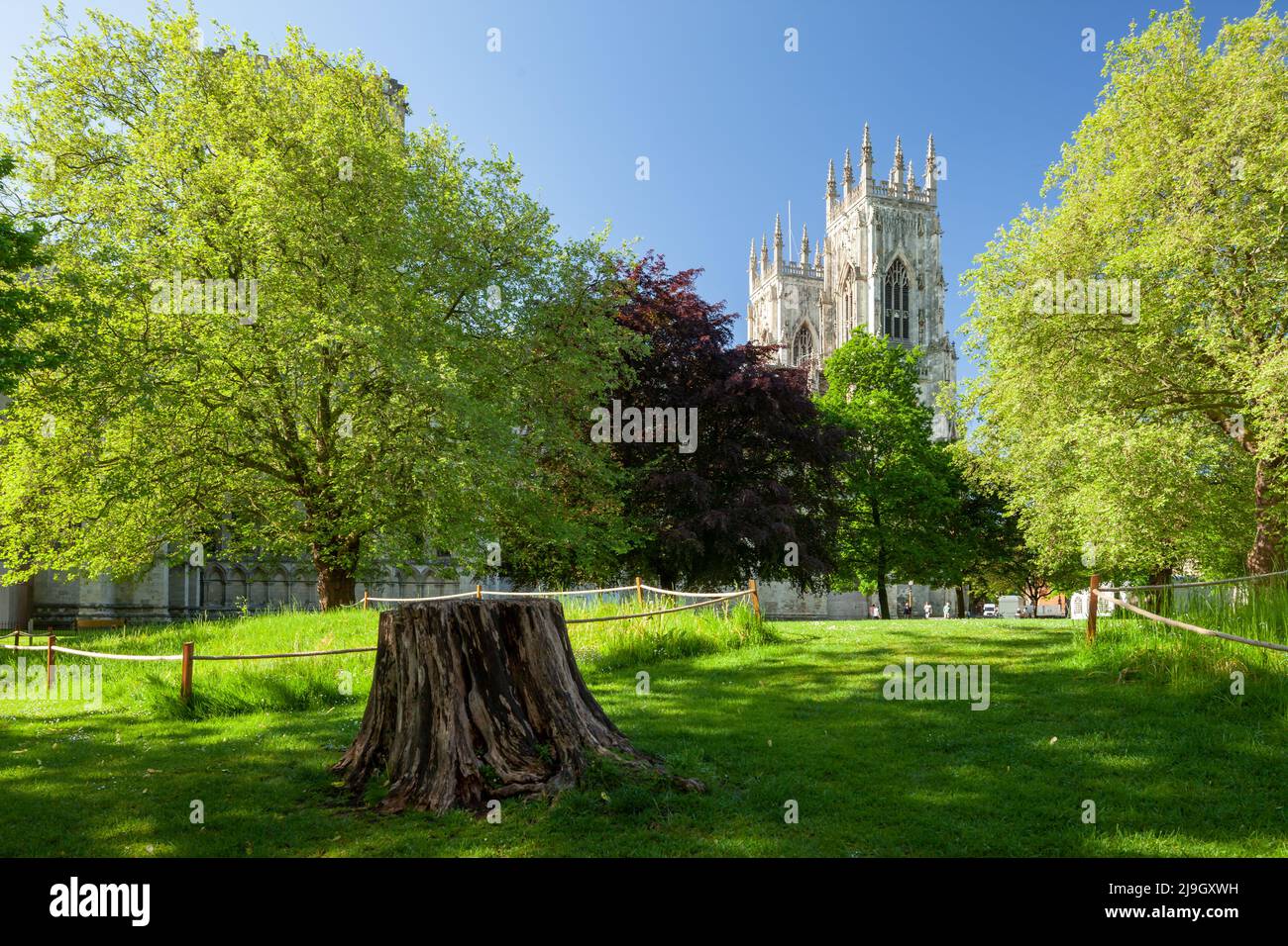 Spring morning at Dean's Park in York, North Yorkshire, England. Stock Photo