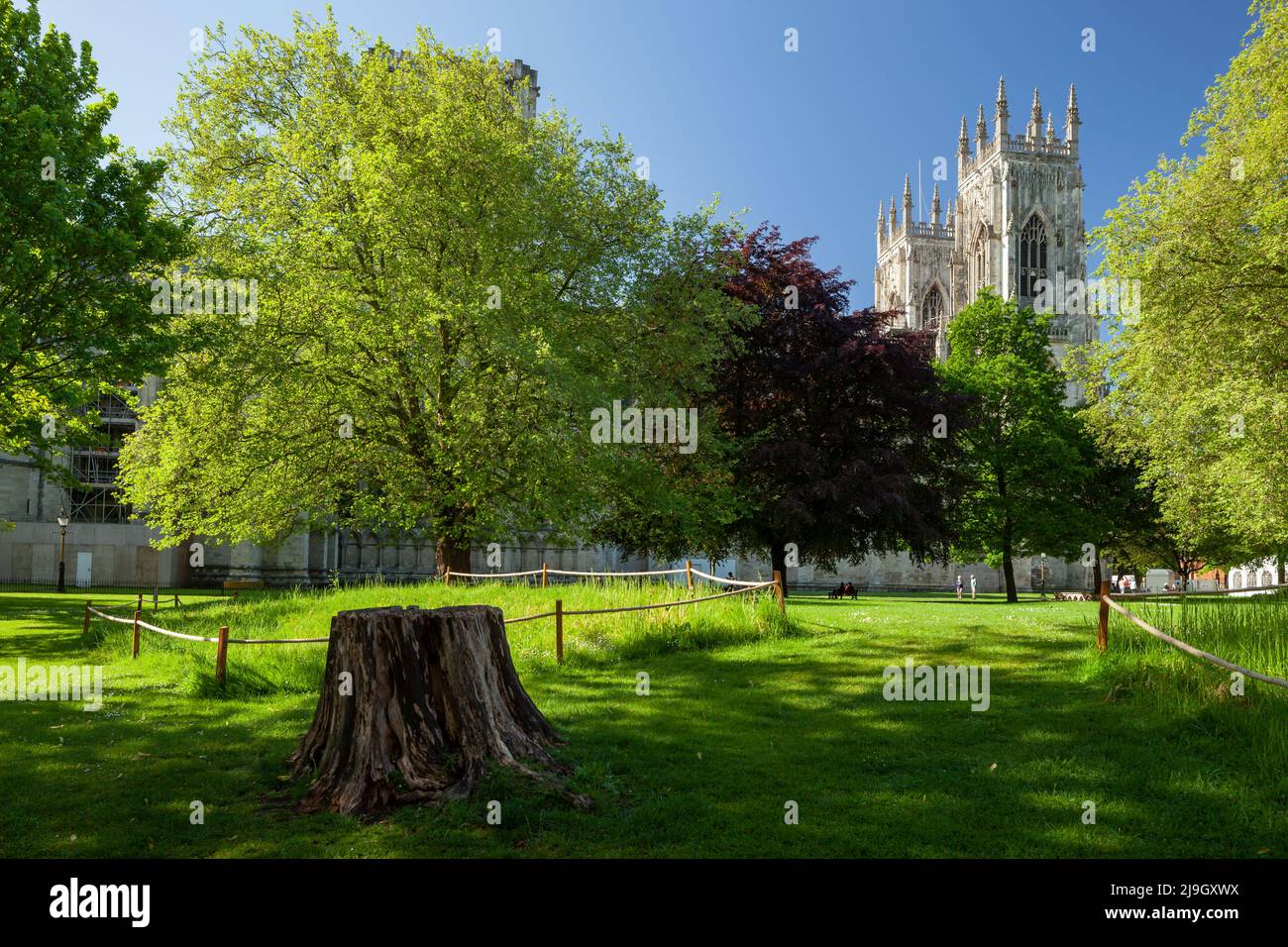 Morning at Dean's Park in York, England. The towers of York Minster in the distance. Stock Photo