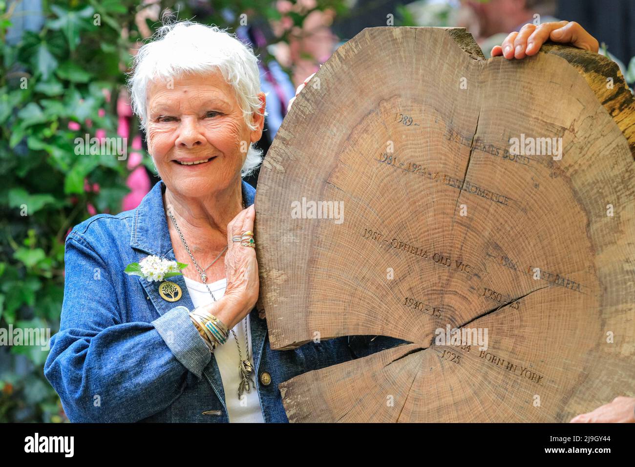 Chelsea, London, UK. 23rd May, 2022. Dame Judi Dench launches Woodland Heritage's new campaign promoting the importance of woodland management, and poses with a live carving of an oak timber round with key dates of her career. Chelsea Flower Show Press day previews the show which returns to the Royal Hospital Chelsea and this year runs from May 24-28. Credit: Imageplotter/Alamy Live News Stock Photo