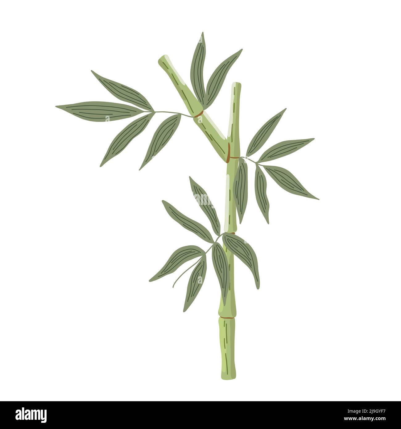 Bamboo leaves simple flat style vector illustration, traditional japanese plant, oriental decorative ornament for design, greeting card, template, banner, zen concept Stock Vector