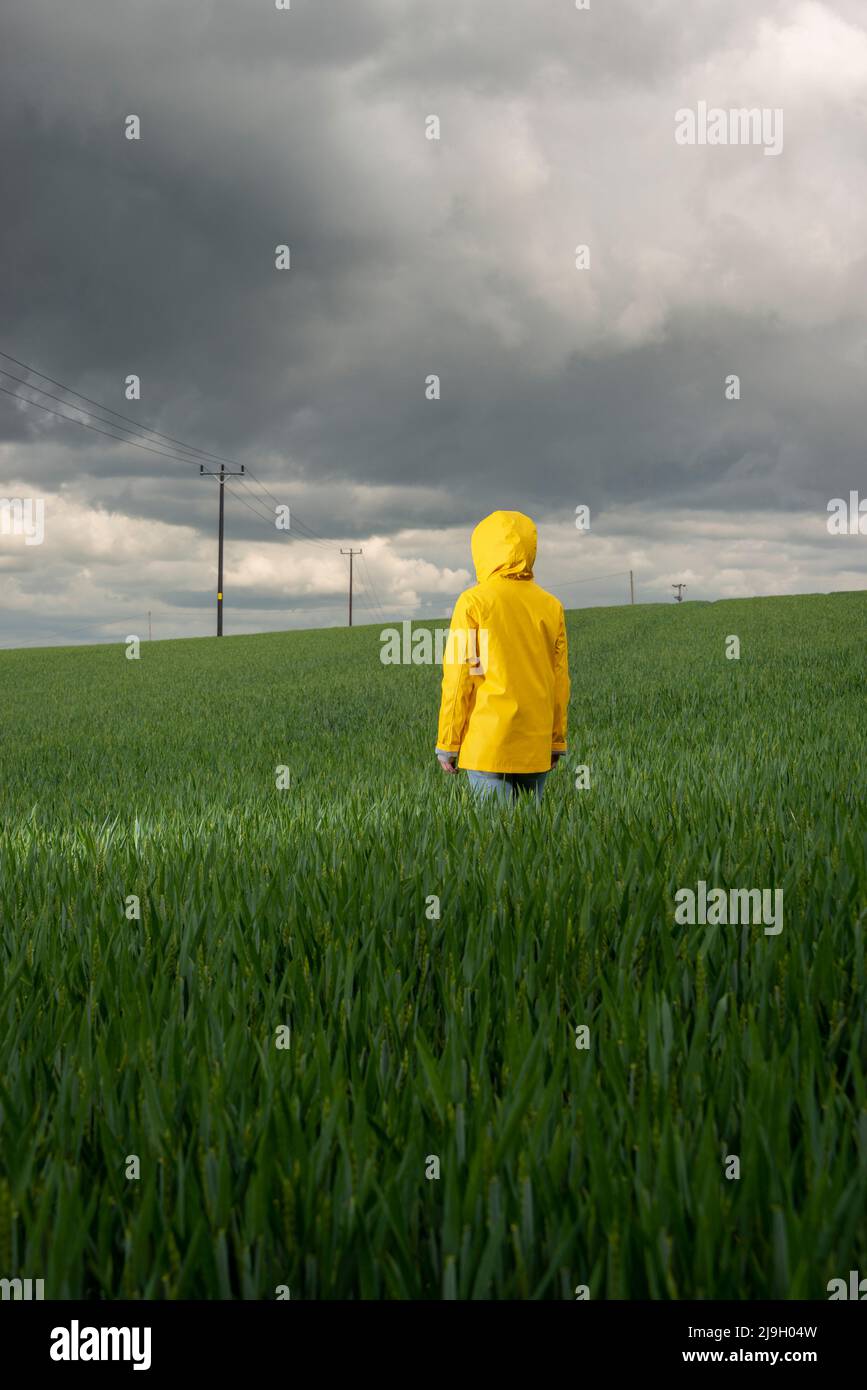 Person wearing a yellow coat in a green field with a stormy sky background. Stock Photo