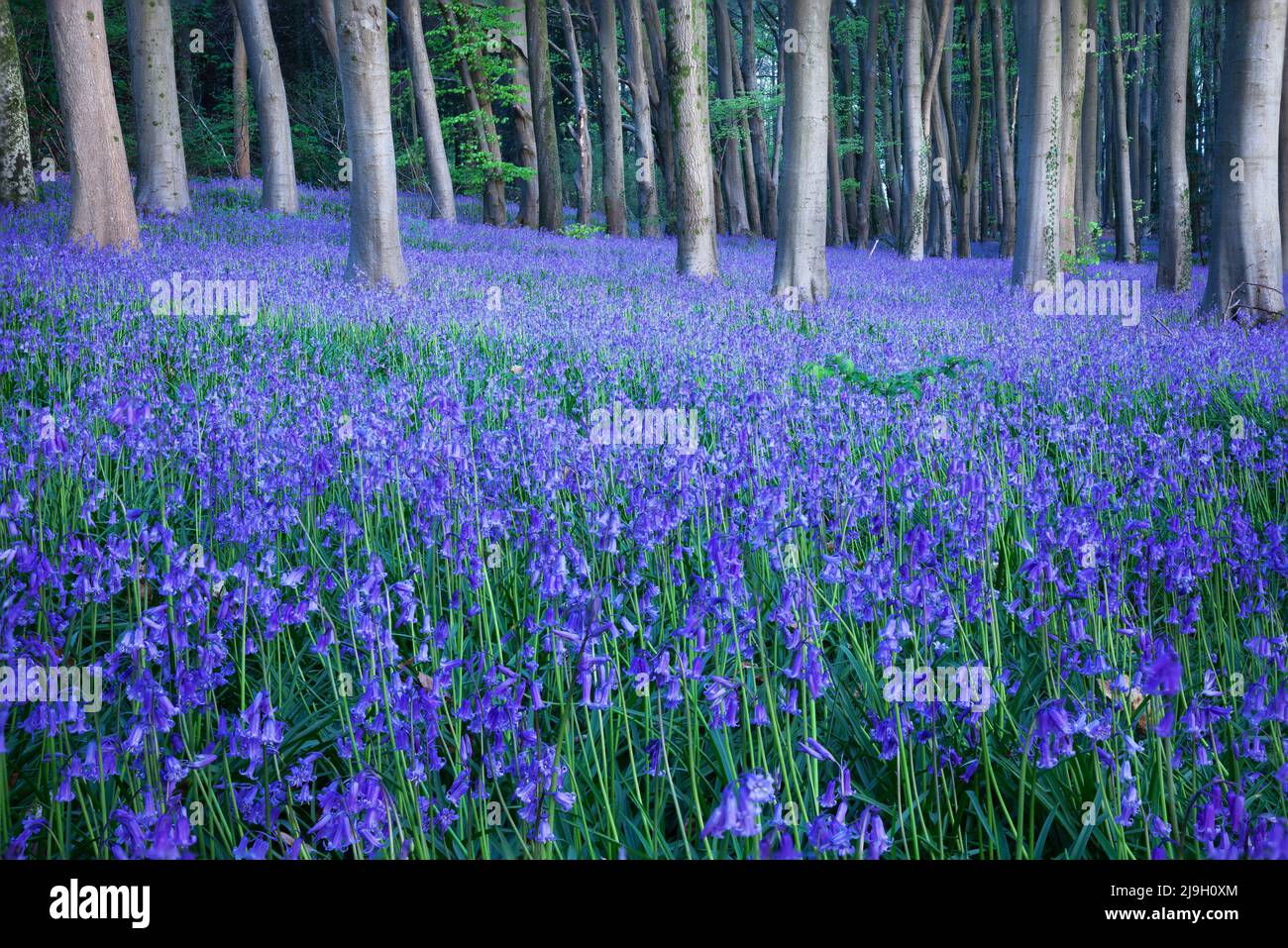 Graham mcpherson landscapes hi-res stock photography and images - Alamy