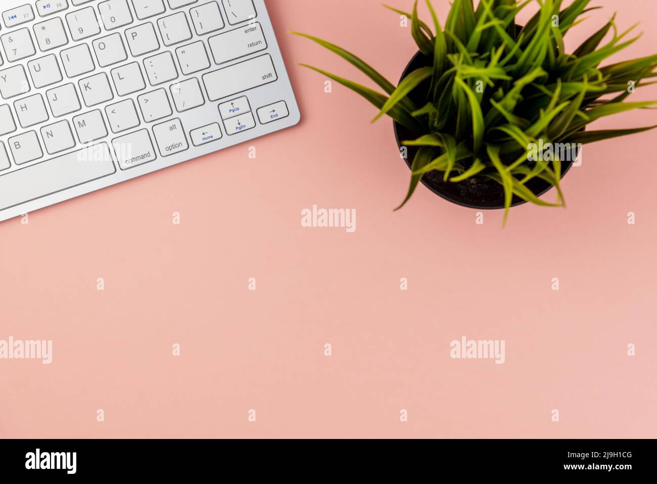 Flat lay office desk with copy space Stock Photo
