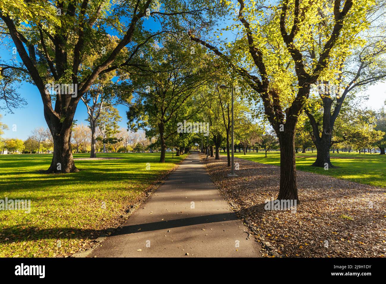 Clifton hill victoria hires stock photography and images Alamy