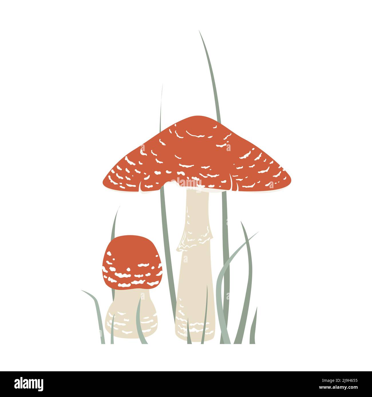 Two fly agaric in the grass, forest poisonous mushroom. Cartoon vector illustration Stock Vector