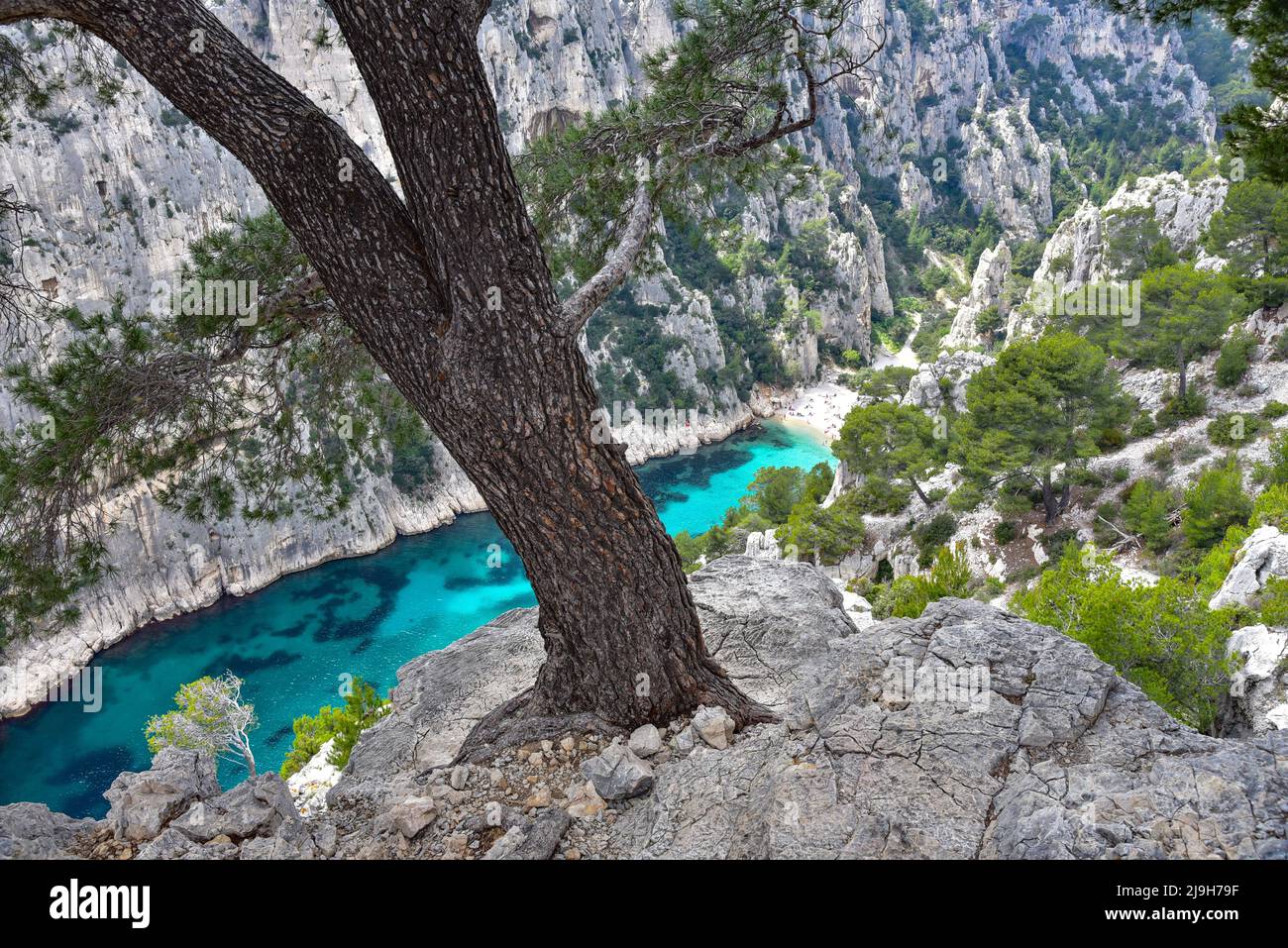 View of the Calanque d'En-Vau near Cassis on the French Riviera in ...