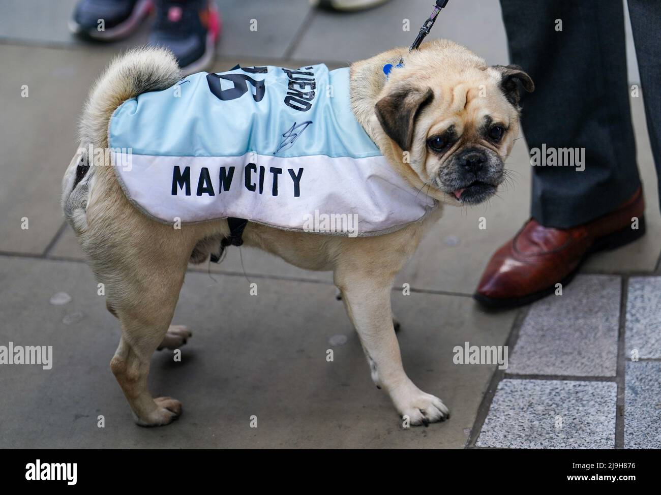 Man city dog jersey hotsell