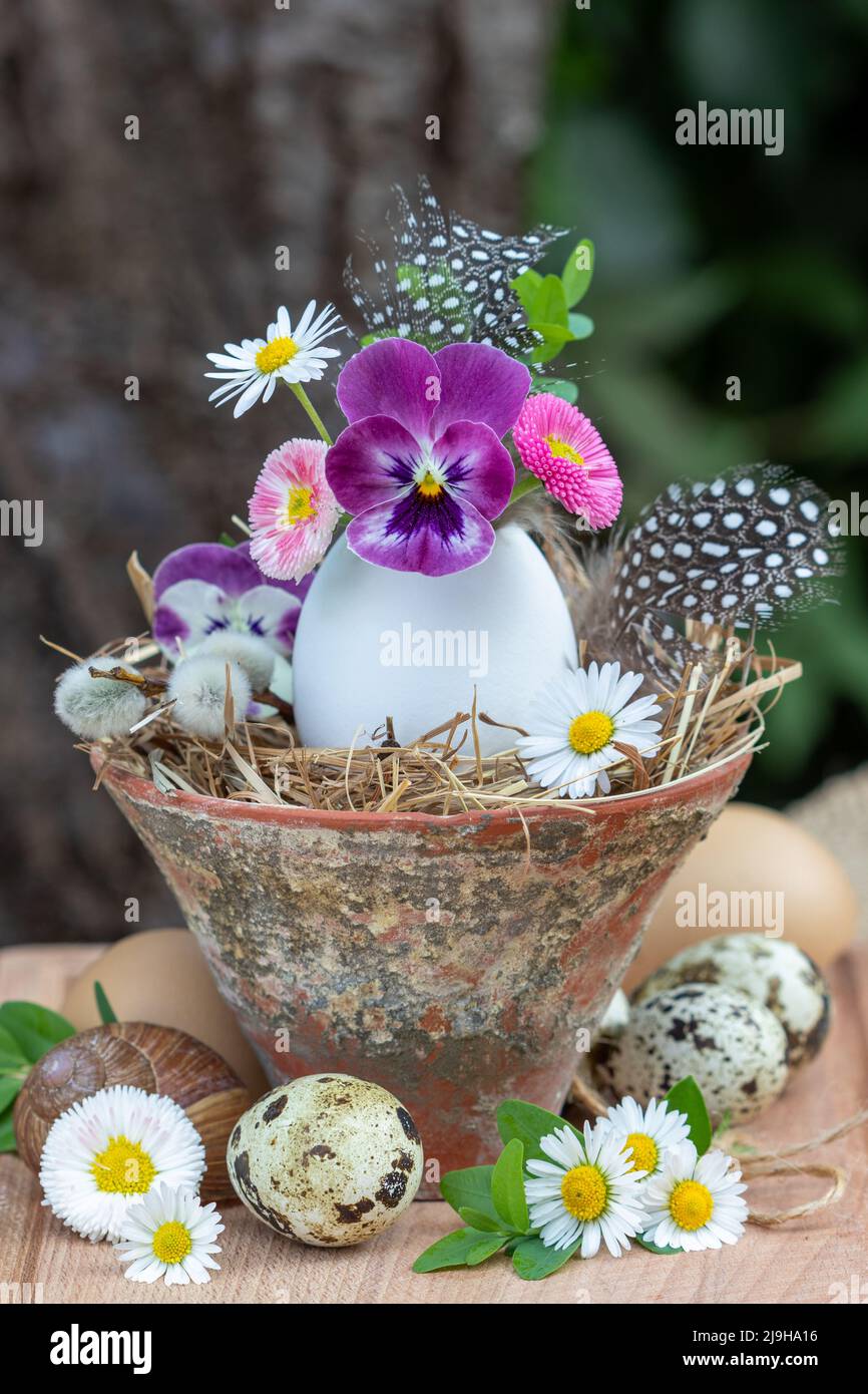 easter decoration with spring flowers and feather in egg Stock Photo ...