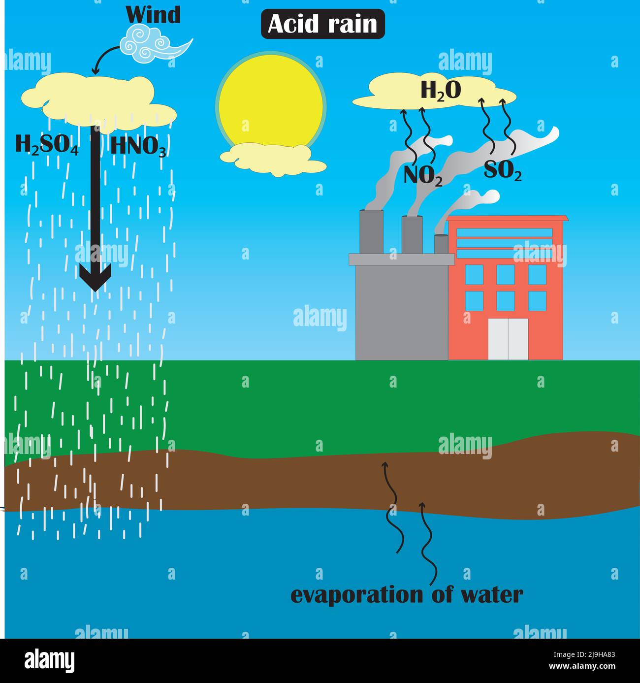 Diagram of acid rain hand drawing.Relationship between pollution and acid rain.Study content for biology students.Vector illustration. Stock Vector