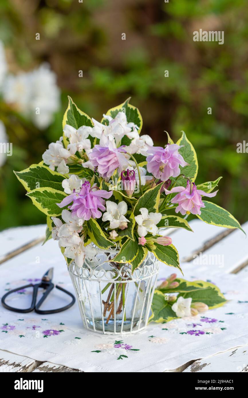 romantic bouquet of pink columbine flowers and weigela in garden Stock