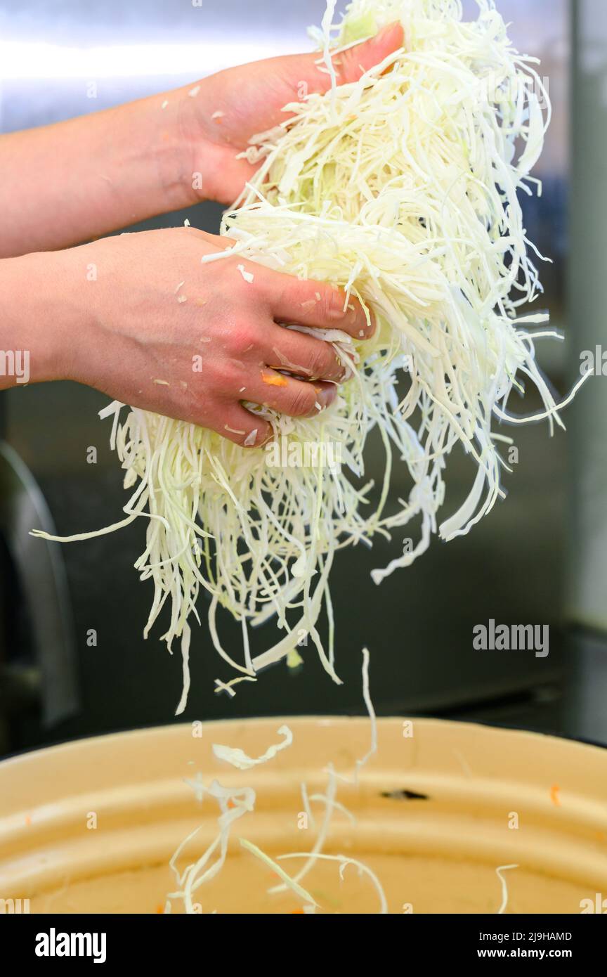 https://c8.alamy.com/comp/2J9HAMD/finely-chopped-cabbage-is-poured-from-the-hands-into-a-vessel-for-further-sourdough-the-process-of-cooking-sauerkraut-white-cabbage-for-sourdough-2J9HAMD.jpg