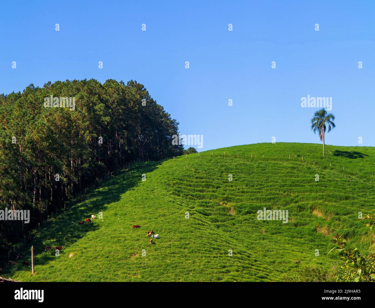 Farmland at Grão-Pará town, near Serra do Corvo Branco, Santa Catarina State, Brazil Stock Photo