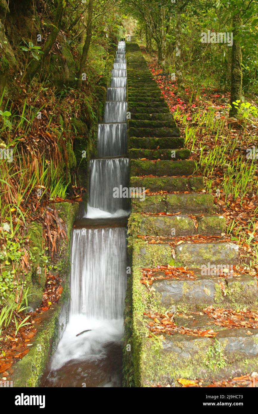 Artificial cascade of the Levada do furado in Ribeiro Frio on Madeira island Portugal. Longtime exposure of historic active water supply system with g Stock Photo