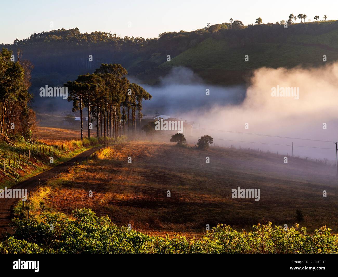 Early morning at the interior of the Paraná State near Cascavel town Stock Photo