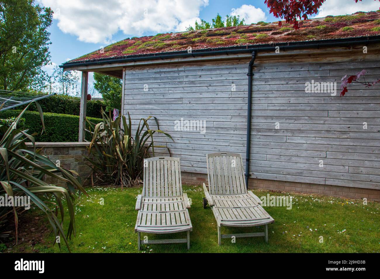 A close up view of two sun chairs in the garden near a pool on a warm summers day Stock Photo