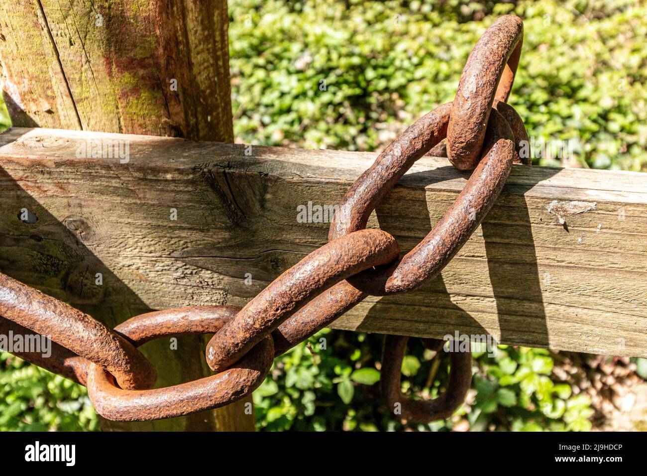 A close up view of a thick metal chain holding a gate closed Stock Photo