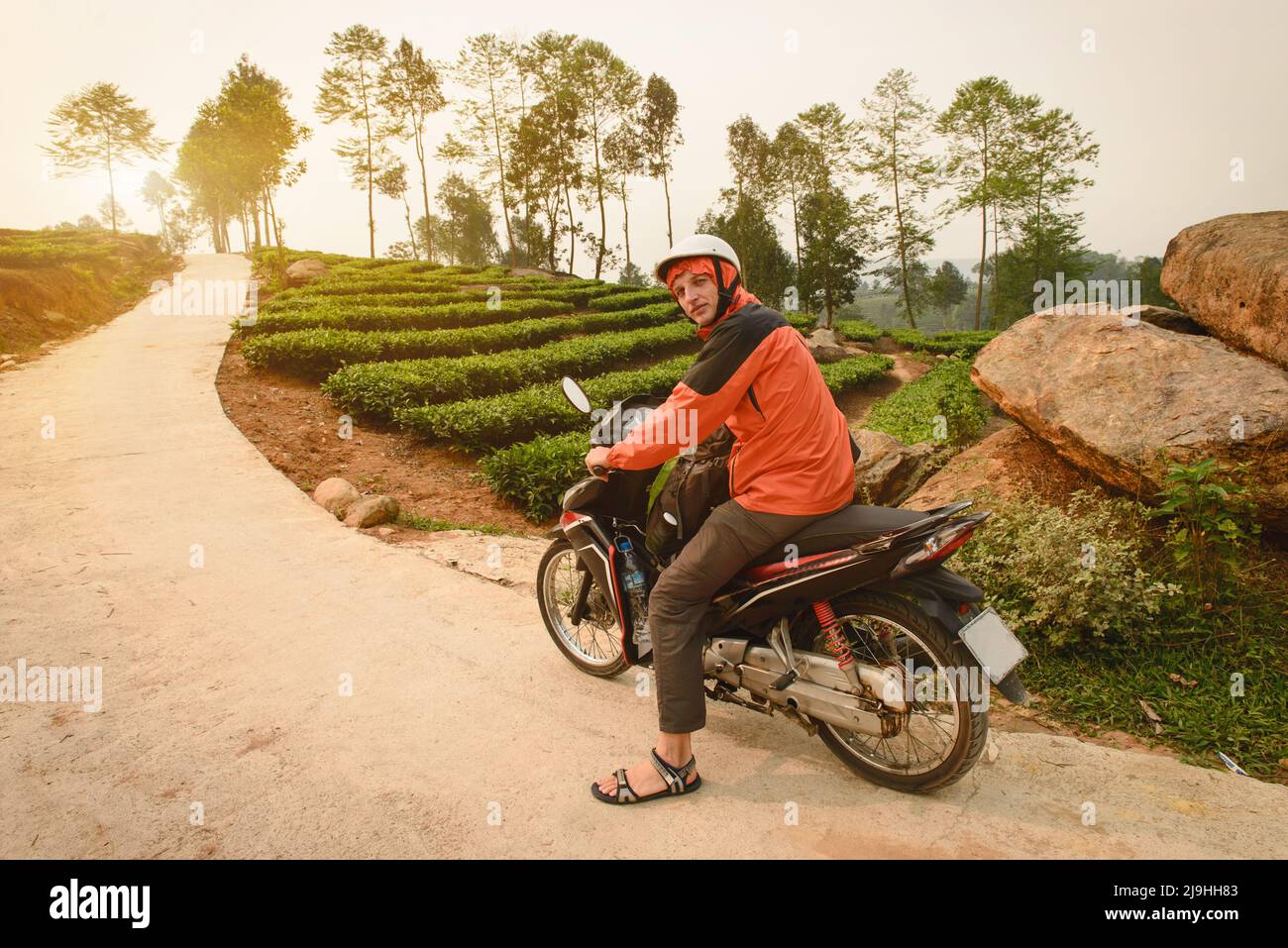 Tourist on the motorbike near tea plantations in the mountains of Northen Vietnam on sunset Stock Photo