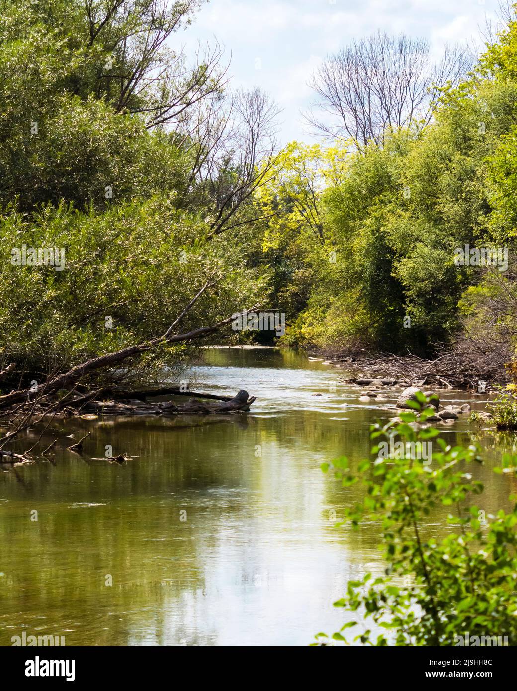 Vertical crop of the Bark River near Delafield, Wisconsin, looking