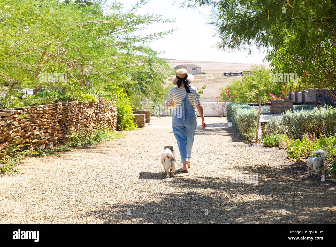 Woman walking with dog in garden Stock Photo
