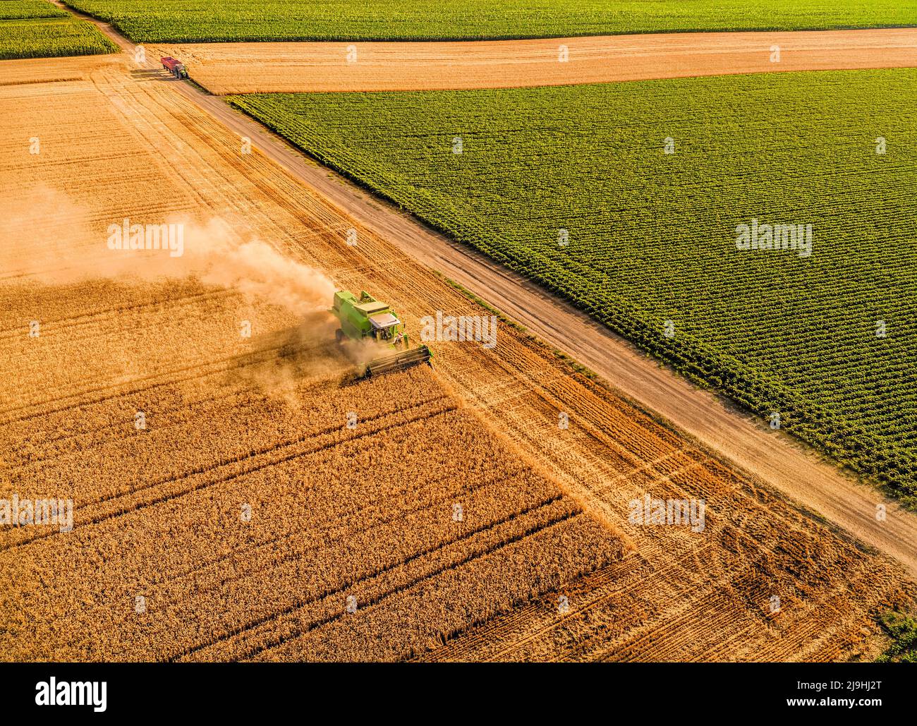 Aerial view of combine harvester at farm harvesting wheat crop field ...