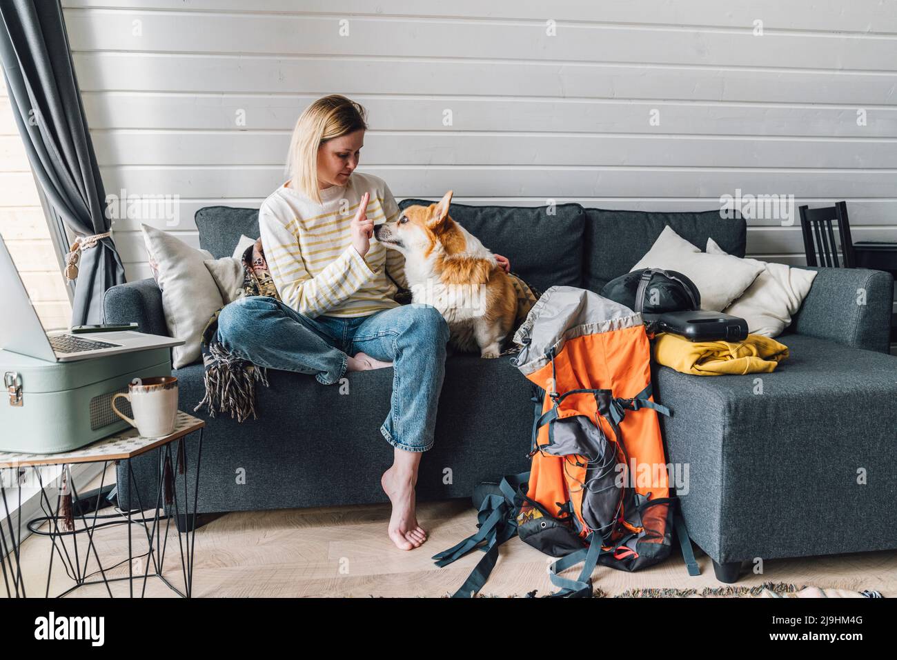 Woman giving obedience training to dog sitting on sofa at home Stock Photo